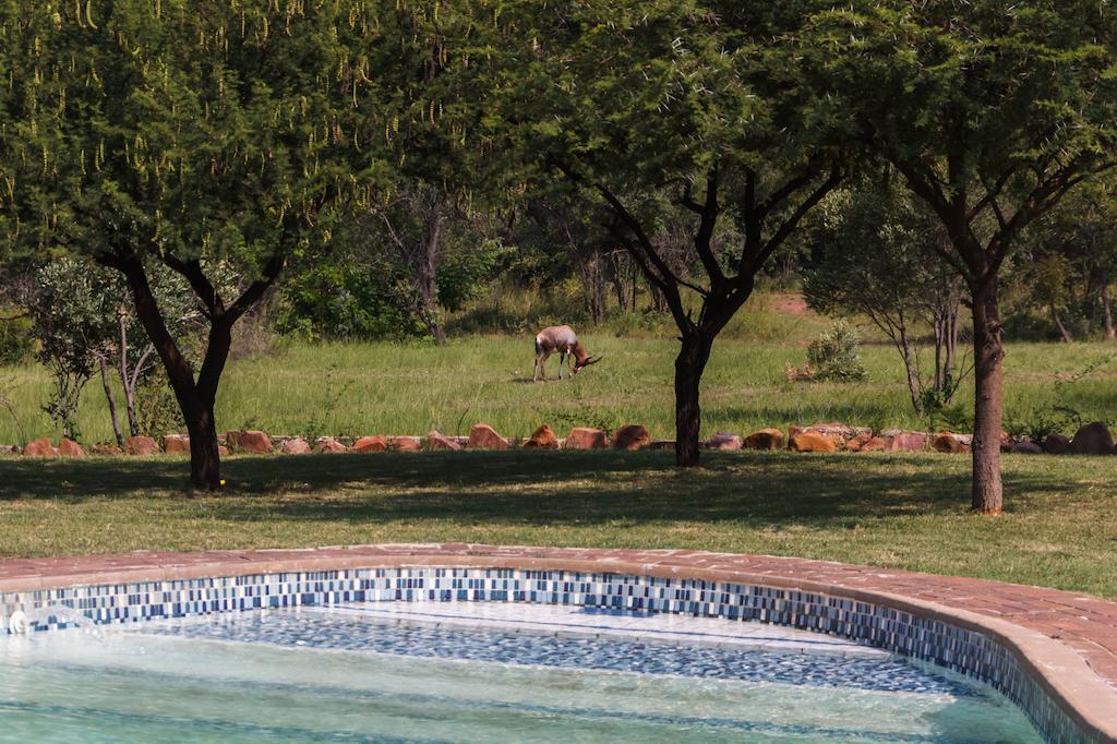 Birdsong Cottages Modimolle Exteriér fotografie